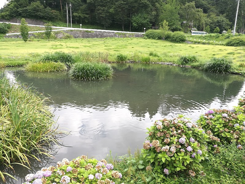 伝行山鯉池