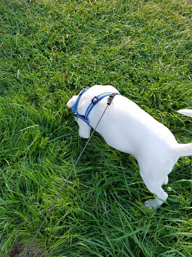 Park «Gamebird Park», reviews and photos, 1500 Mallard Ave, Springfield, OR 97477, USA