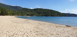 Talaudyong Beach'in fotoğrafı çok temiz temizlik seviyesi ile