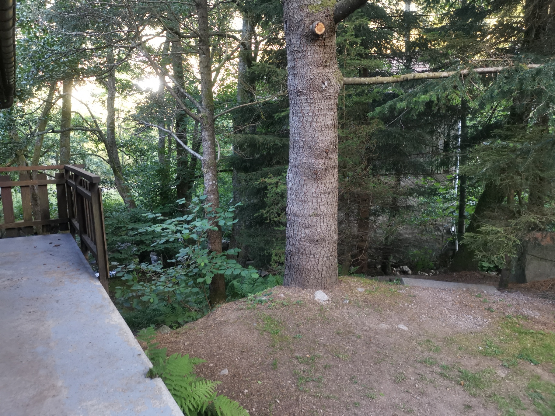 Photo n° 6 de l'avis de Sylvia.a fait le 02/08/2020 à 18:23