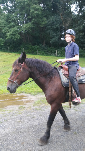 Horse Riding School «Horseng Farm LLC», reviews and photos, 6475 Warden Rd, New Tripoli, PA 18066, USA
