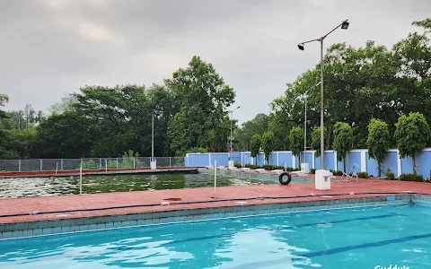 Chinsurah Swimming Club image