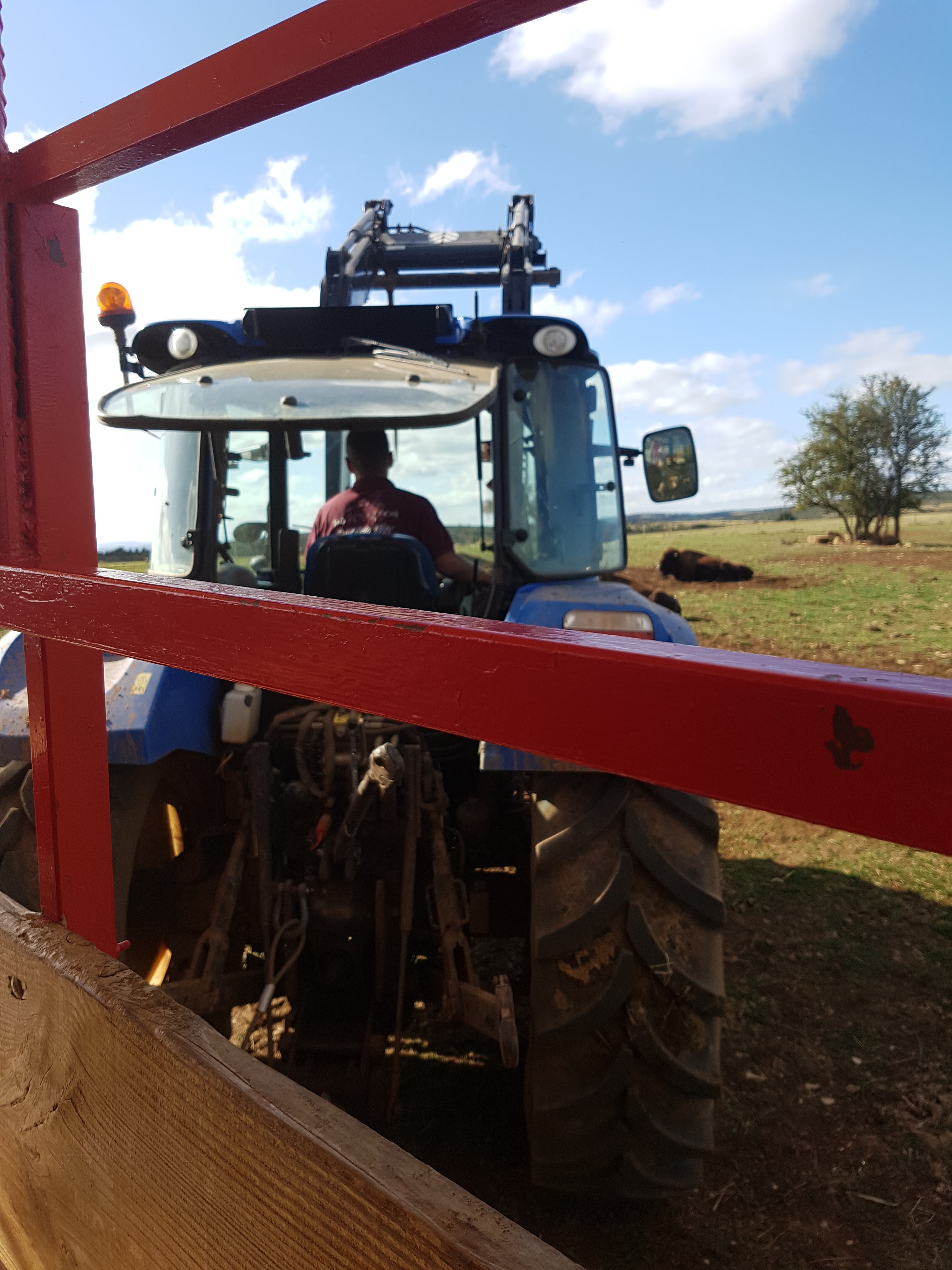 Photo n° 1 de l'avis de Monique.E fait le 06/10/2019 à 04:32