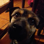 Photo n°4 de l'avis de Martina.a fait le 12/05/2019 à 22:07 sur le  Da Nando - Ristorante Wine bar à Tremosine sul Garda