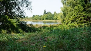 Clark Lake Park - photo 9