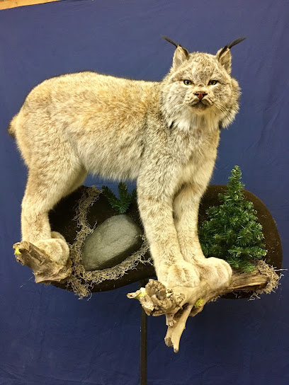 Extreme Taxidermy