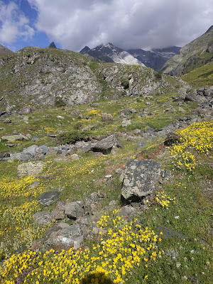Vallée d'Ossoue à Gavarnie-Gèdre