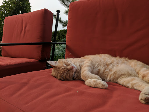 Winery «Alloro Vineyard», reviews and photos, 22075 SW Lebeau Rd, Sherwood, OR 97140, USA