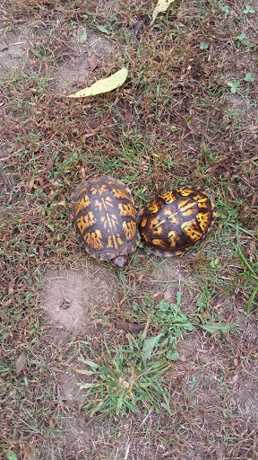 Park «Richard Siegel Park», reviews and photos, 515 Cherry Ln Dr, Murfreesboro, TN 37129, USA