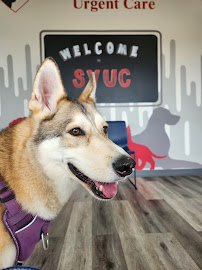 Southwest Veterinary Urgent Care - Photo 6 - Car repair in Fort Wayne, IN, Fort Wayne