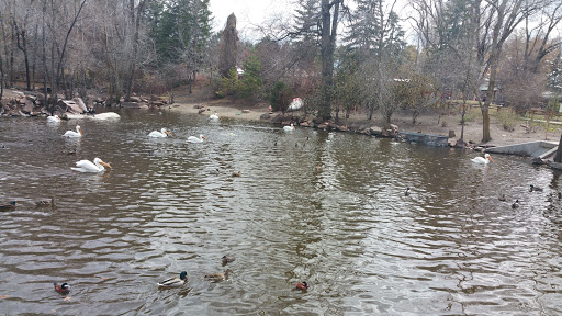 Tourist Attraction «Tracy Aviary», reviews and photos, 589 1300 S, Salt Lake City, UT 84105, USA