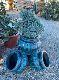 A & M Nursery & Supplies - Photo 9 - Car repair in Arlington, TX, Arlington