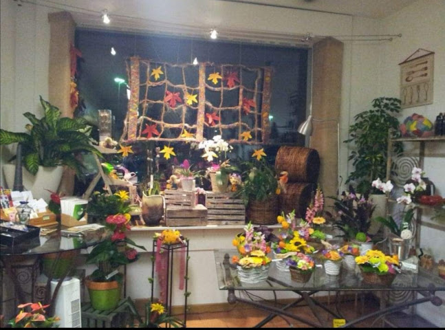 Rezensionen über Al Caprifoglio in Lugano - Blumengeschäft