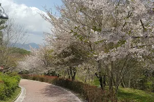 Namsan Park image