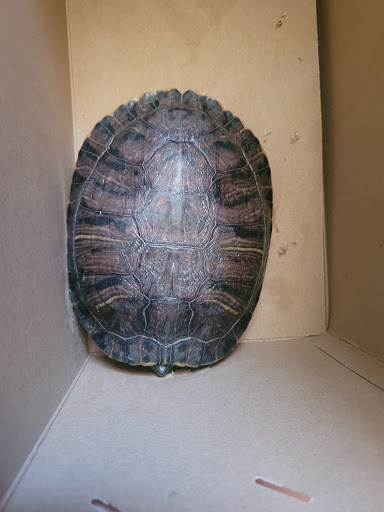 Pet Supply Store «Petco Animal Supplies», reviews and photos, 1815 Newport Blvd b, Costa Mesa, CA 92627, USA