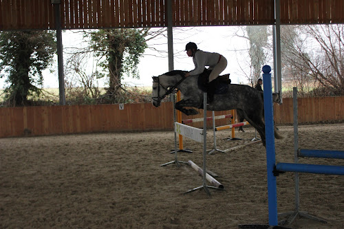 Centre Equestre Ecuries d'Estran à Maen Roch