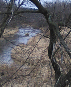 Grocery Store «Family Fare Supermarket», reviews and photos, 425 Main St W, Cannon Falls, MN 55009, USA