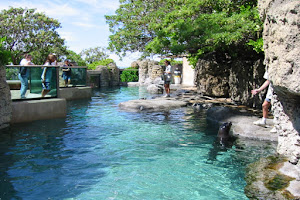 Waikiki Aquarium