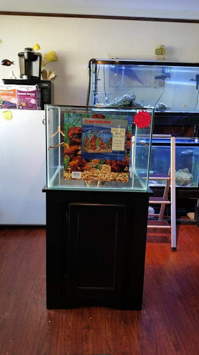 Tropical Fish Store «Aquastetics», reviews and photos, 354 E Main St, Fall River, MA 02724, USA