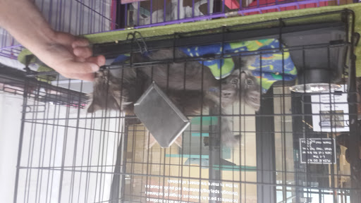 Animal Shelter «One of A Kind Pet Rescue», reviews and photos, 1929 W Market St, Akron, OH 44313, USA