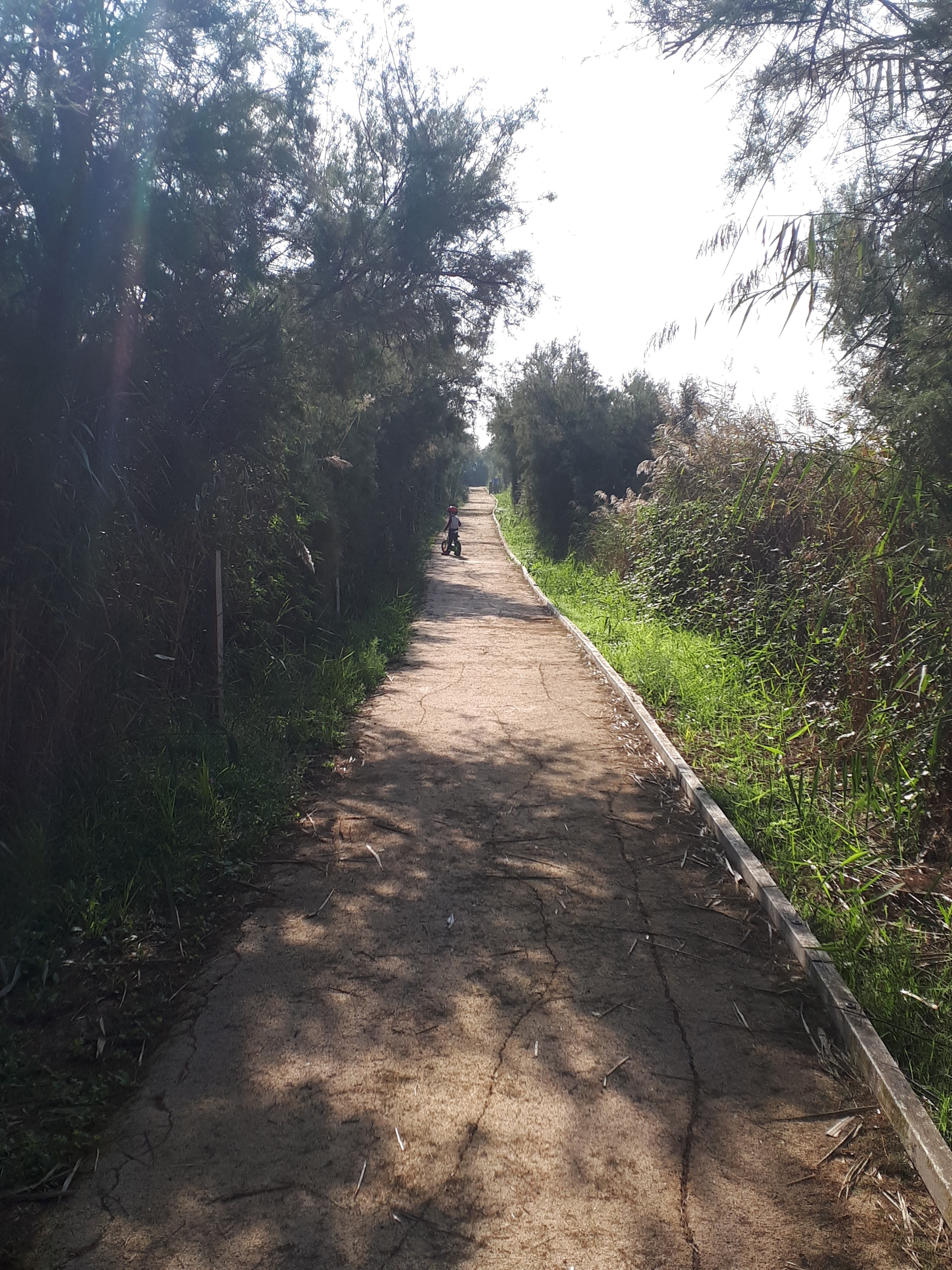 Photo n° 3 de l'avis de Michele.o fait le 28/10/2019 à 11:35