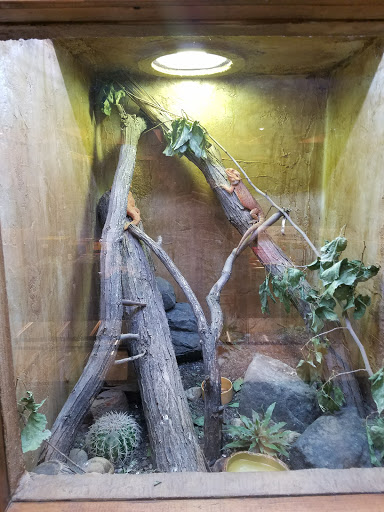 Pet Store «Lost Realms Pets», reviews and photos, 8059 N Cedar Ave, Fresno, CA 93720, USA