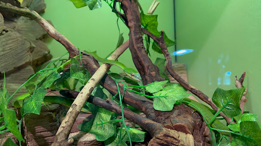 Science Museum «Orlando Science Center», reviews and photos, 777 E Princeton St, Orlando, FL 32803, USA