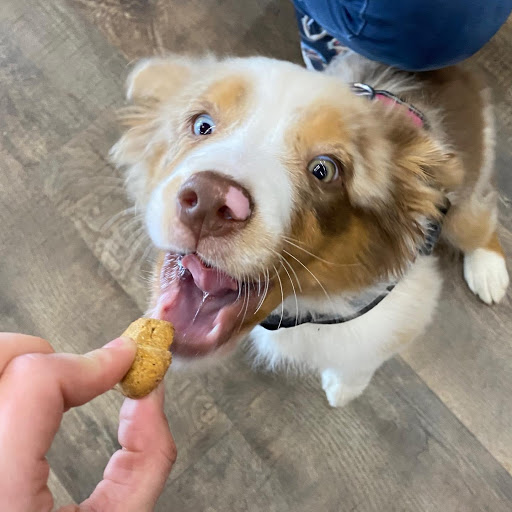 Pet Supply Store «Pet Barn Inc», reviews and photos, 167 Jennifer Rd # G, Annapolis, MD 21401, USA