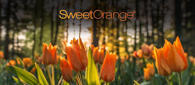 Sweet Orange Ltd