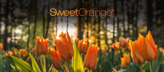 Sweet Orange Ltd