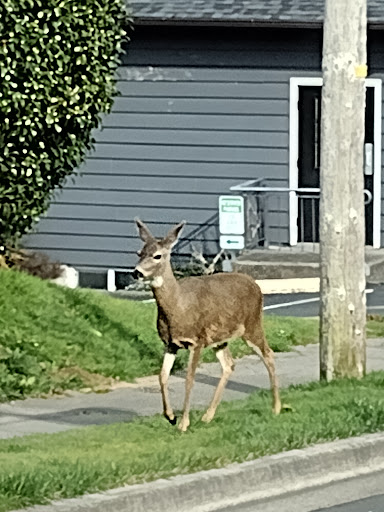 Tourist Attraction «Oregon Film Museum», reviews and photos, 732 Duane St, Astoria, OR 97103, USA