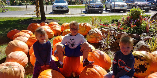 Produce Market «Didier Farms», reviews and photos, 16678 Aptakisic Rd, Lincolnshire, IL 60069, USA