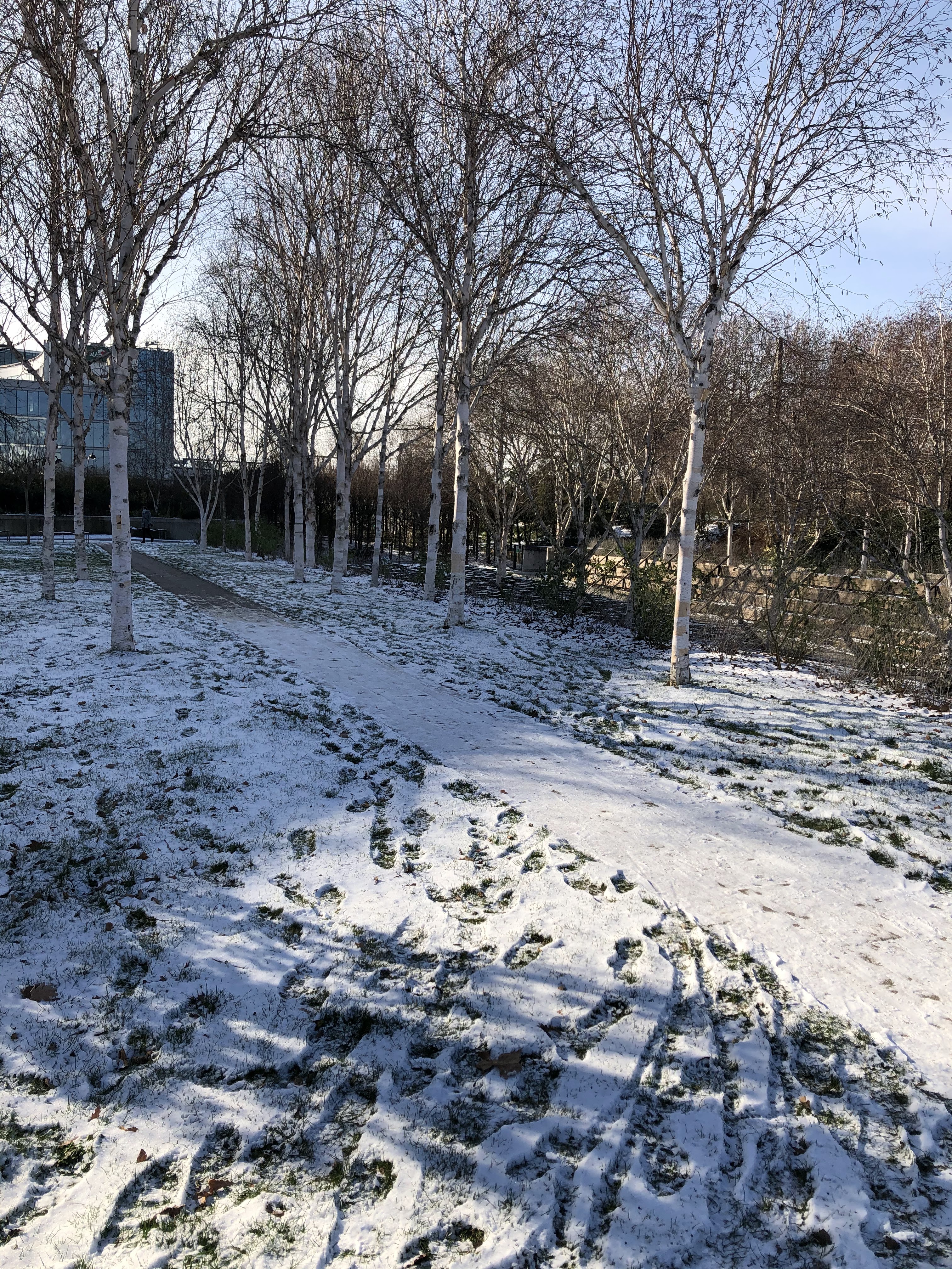 Photo n° 42 de l'avis de Halim.o fait le 15/12/2020 à 14:13