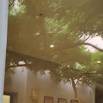 Photo n°17 de l'avis de Enrico.a fait le 20/09/2019 à 10:45 sur le  Ristorante Battaglino dal 1919 à Bra