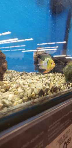 Pet Supply Store «Petco Animal Supplies», reviews and photos, 244 Pioneer Trail, Chaska, MN 55318, USA