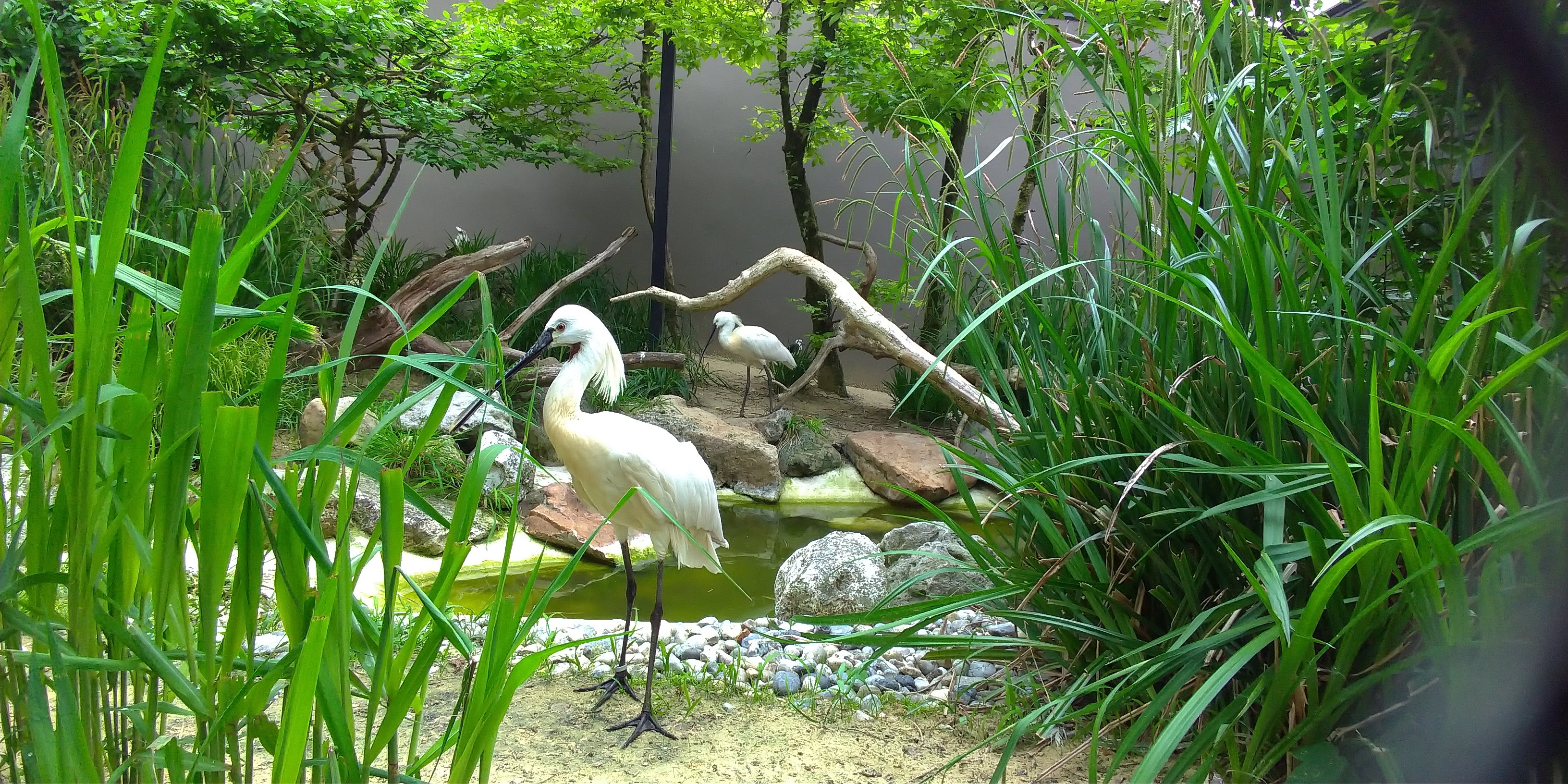 Photo n° 7 de l'avis de Maxime.E fait le 19/05/2019 à 20:15