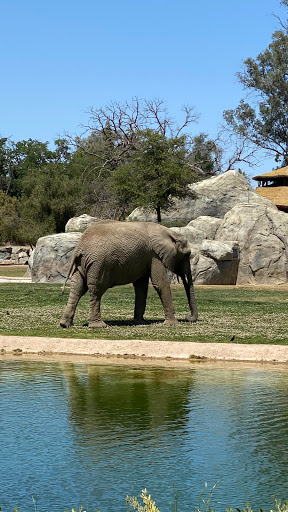 Fresno Chaffee Zoo image