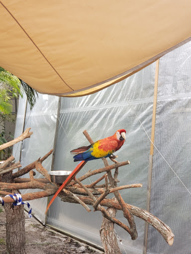 Tourist Attraction «Butterfly World», reviews and photos, 3600 W Sample Rd, Coconut Creek, FL 33073, USA