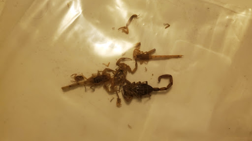 Boutique «Nespresso Boutique», reviews and photos, 7014 E Camelback Rd, Scottsdale, AZ 85251, USA