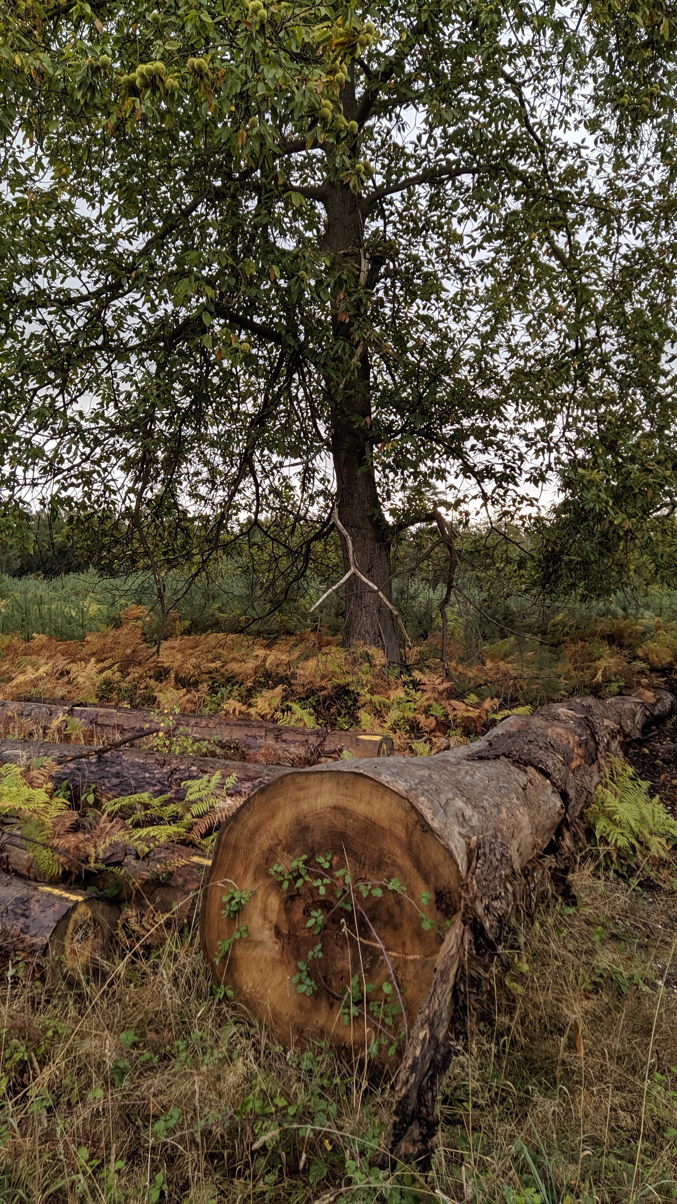 Photo n° 4 de l'avis de Frederic.e fait le 03/10/2019 à 18:30