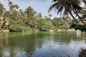 Kallada River image