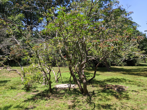 Nature Preserve «Greenburgh Nature Center», reviews and photos, 99 Dromore Rd, Scarsdale, NY 10583, USA