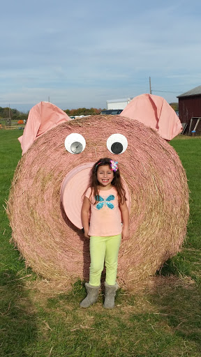 Produce Market «Solly Brothers», reviews and photos, 707 Almshouse Rd, Warminster, PA 18974, USA