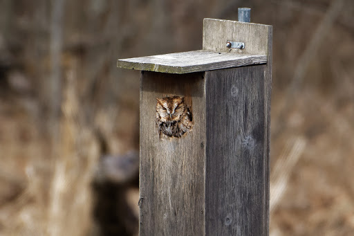 Nature Preserve «Leonard Preserve», reviews and photos, N Union St, Manchester, MI 48158, USA