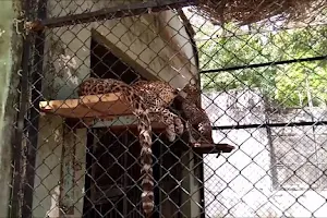 Sakkarbaug Zoological Park image