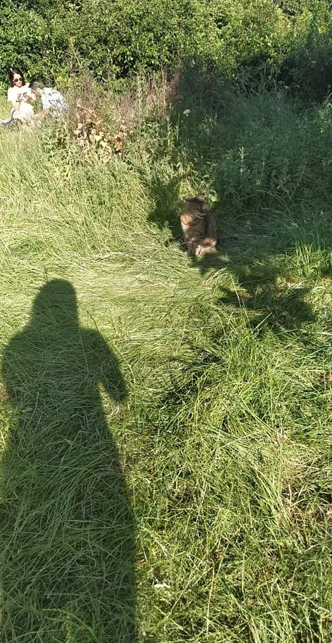 Photo n° 2 de l'avis de Marina.c fait le 19/07/2021 à 09:59