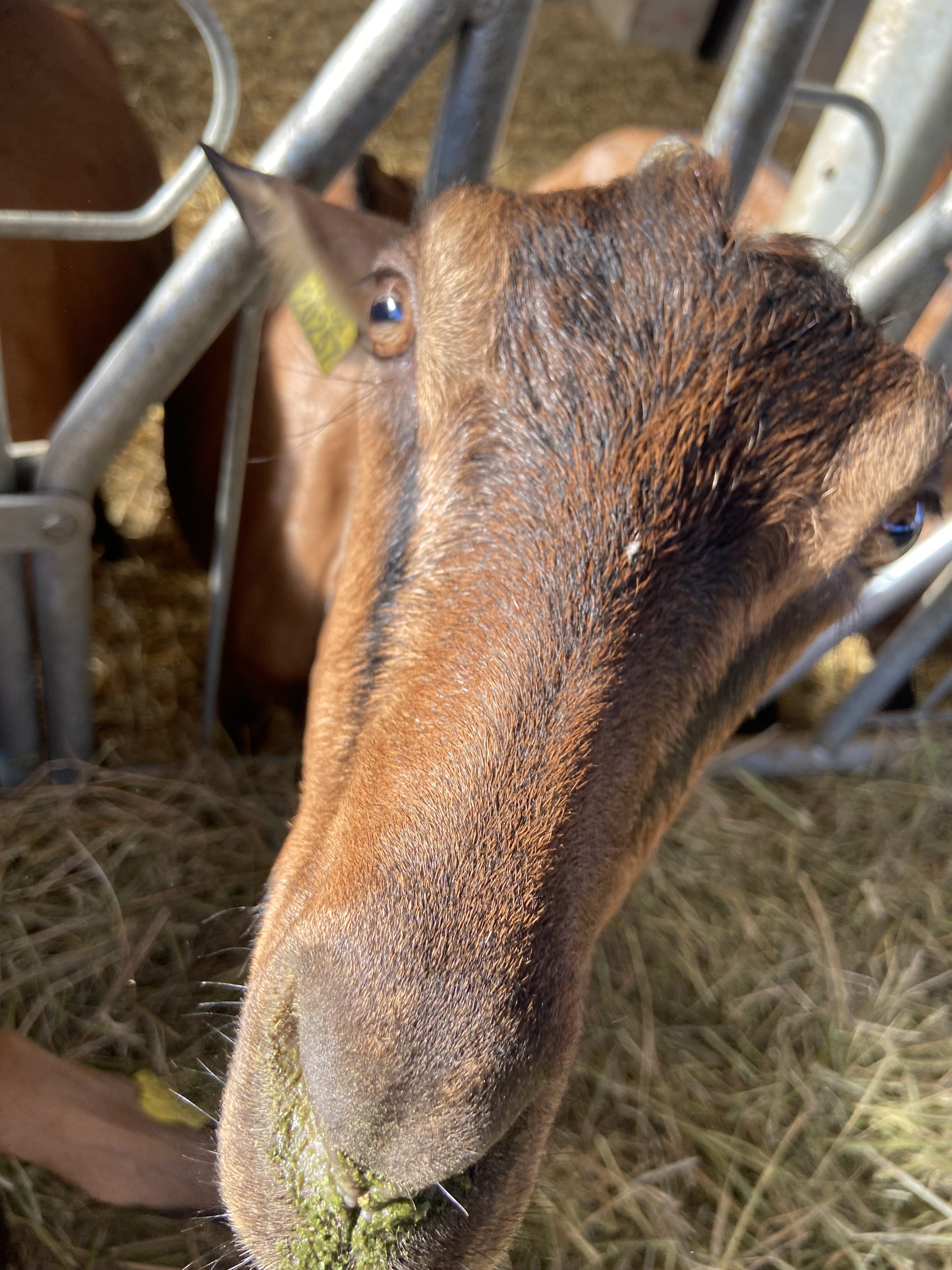 Photo n° 5 de l'avis de Christèle.n fait le 10/08/2022 à 18:04