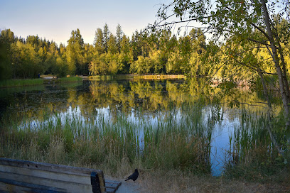 Green Timbers Lake
