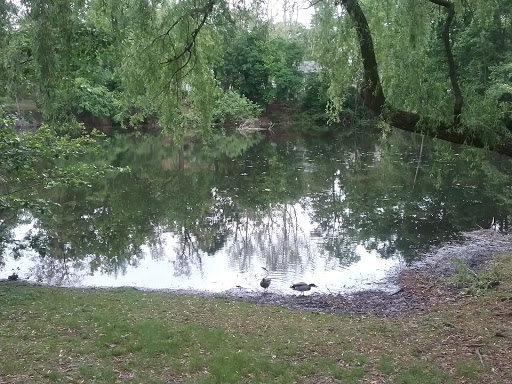 Historical Landmark «Union Church of Pocantico Hills», reviews and photos, 555 Bedford Rd, Tarrytown, NY 10591, USA