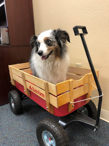 Insurance Agency «Julio Martinez - State Farm Insurance Agent», reviews and photos